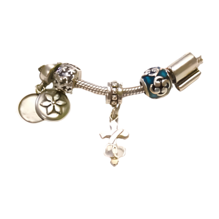 pandora charm partial